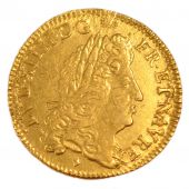 Louis XIV, Louis d'Or  l'cu