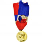 France, Ministre des Affaires Sociales, Medal, 1970, Very Good Quality